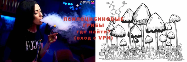 spice Болотное