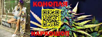 шишки Чебаркуль