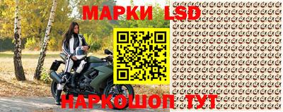 шишки Чебаркуль