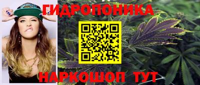шишки Чебаркуль