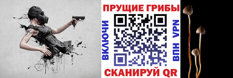 цены   Дюртюли  Псилоцибиновые грибы ЛСД 