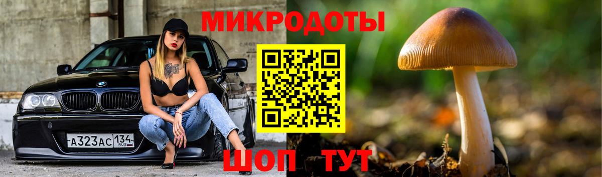 Дюртюли  Псилоцибиновые грибы Psilocybine cubensis  Галлюциногенные грибы ЛСД  Вход с VPN 