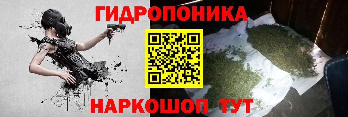 Шишки марихуана OG Kush Дюртюли